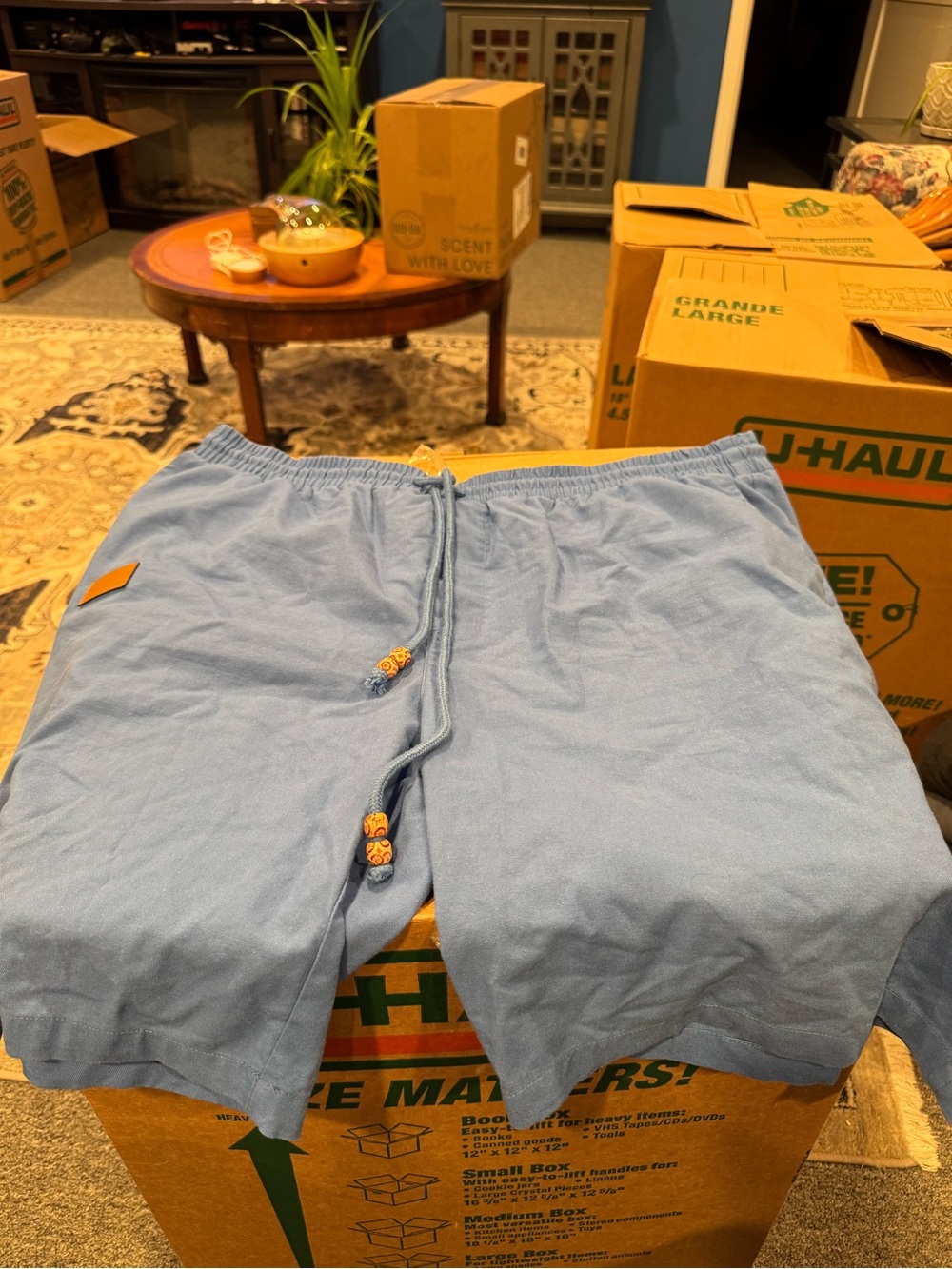 Men's Light Blue Elastic Waist Flat Front Shorts with Drawstring